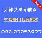 天津艾孚肯軸承進(jìn)出口貿(mào)易有限公司